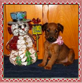 puppy with a pink ribbon posed next to a snowman figure