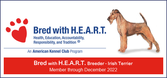 Bred with H.E.A.R.T. Health, Education, Accountability, Responsibility, and Tradition, An American Kennel Club Program, Bred with H.E.A.R.T. Breeder - Irish Terrier, Member through December 2022