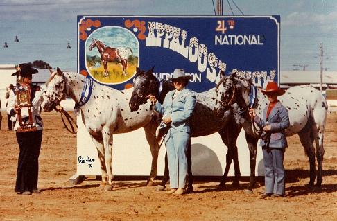 24th National Appaloosa Show