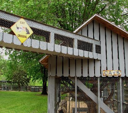 cat house crossing is like a bridge