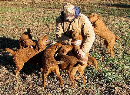 man playing with puppies