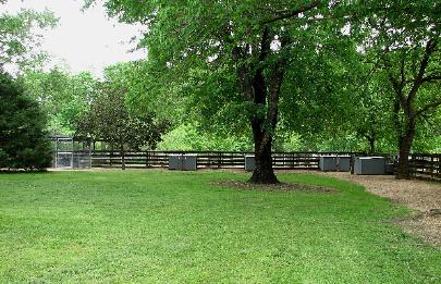 another view of the dog pens in the back yard