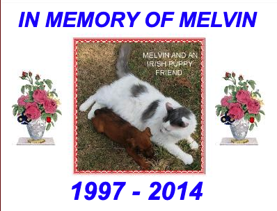 In memory of Melvin - 1997 - 2014