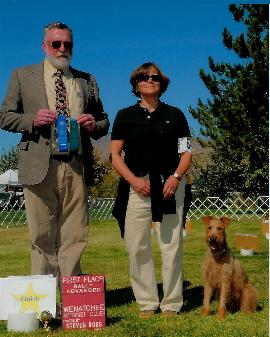 Birdee (irish terrier) at a show with her owners