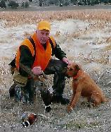 irish terrier posed with man hunting