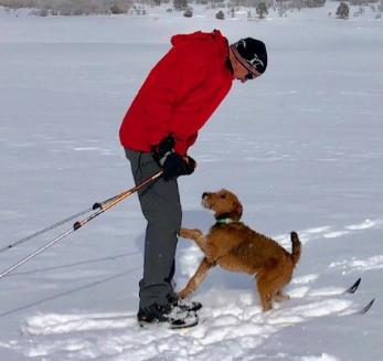 man on snow skis playing with his dog
